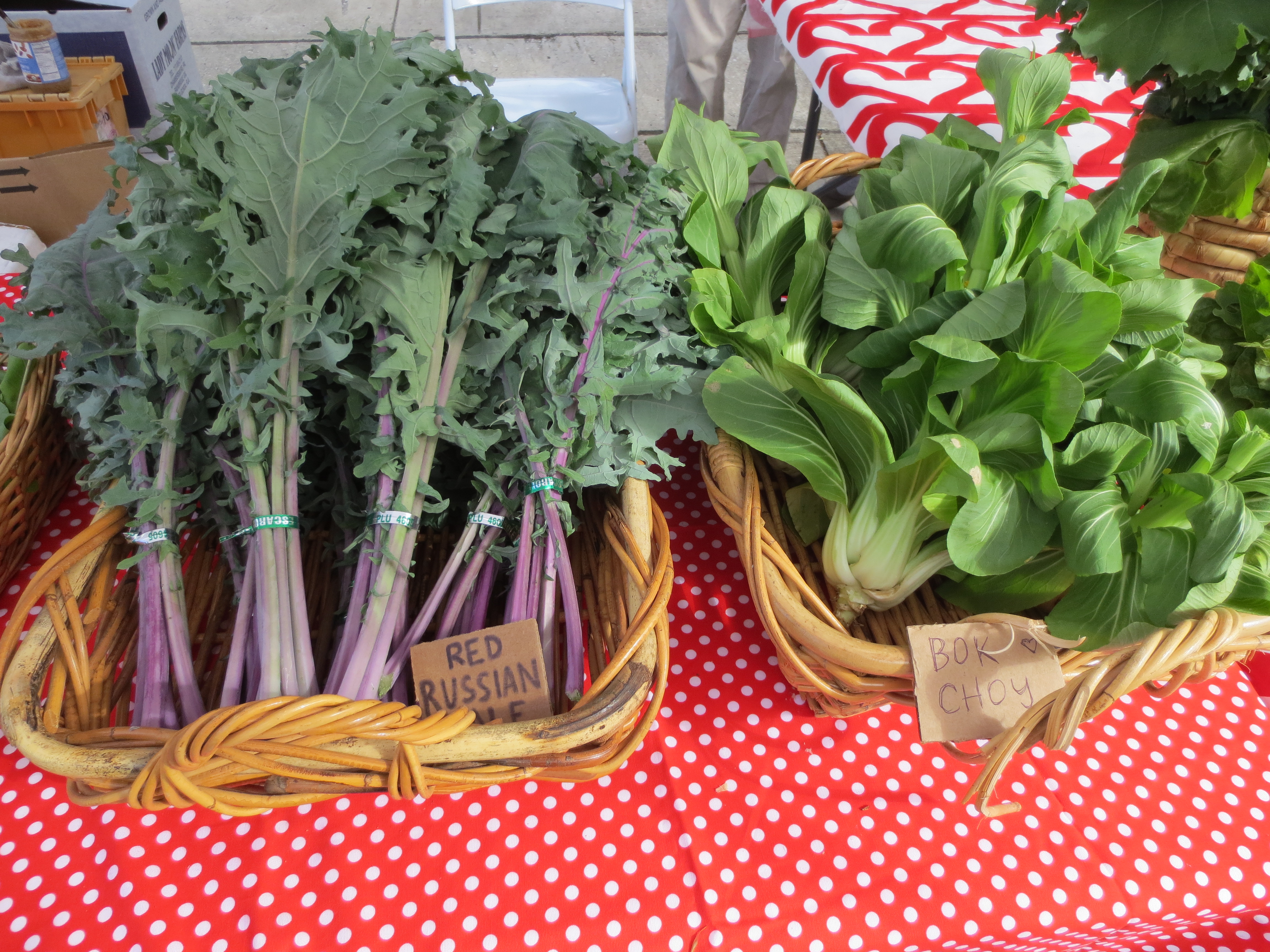 Our red Russian kale and bok choy. <3