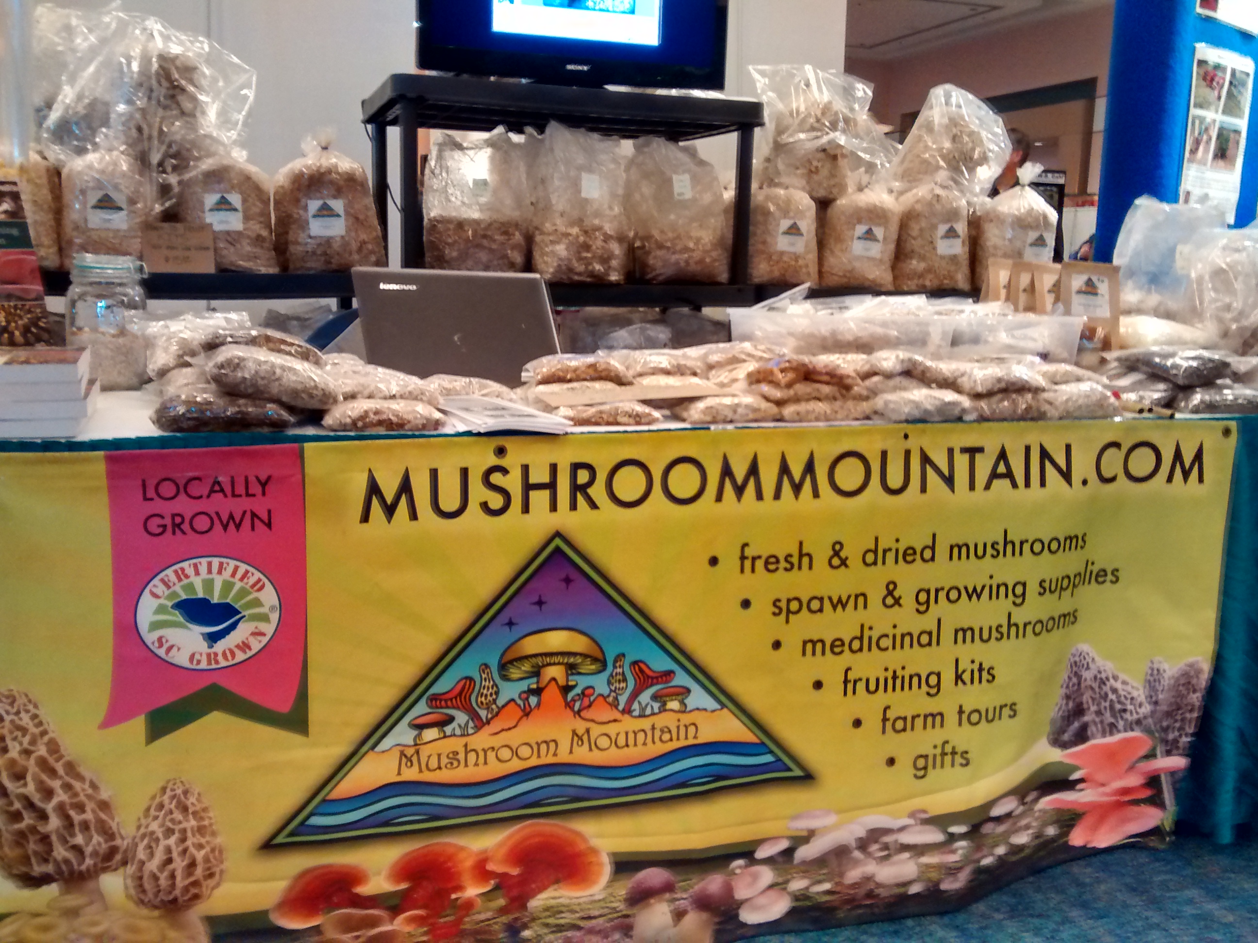Mushroom Mountain